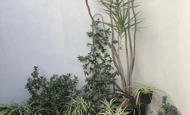Local   Piso de 4 ambientes con terraza en PA - Venta Directa!!!