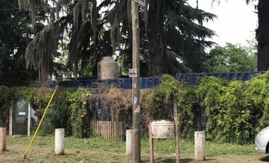 MAROTO PROPIEDADES-ALQUILA- TIERRA-