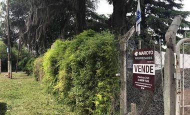 MAROTO PROPIEDADES-ALQUILA- TIERRA-