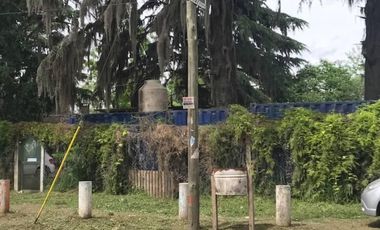 MAROTO PROPIEDADES-ALQUILA- TIERRA-