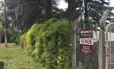 MAROTO PROPIEDADES-ALQUILA- TIERRA-