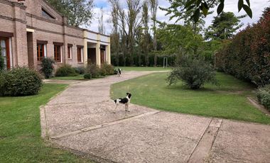Casa - Ibarlucea- tipo campo