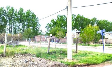 Terreno en  Alquiler, San Patricio del Chañar