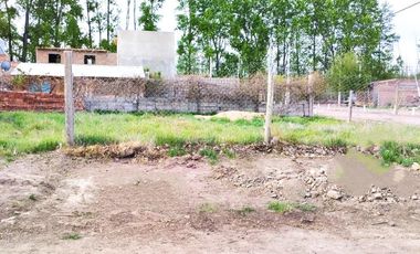 Terreno en  Alquiler, San Patricio del Chañar