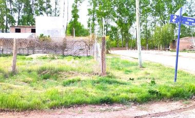 Terreno en  Alquiler, San Patricio del Chañar