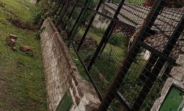 Casa - Alejandro Korn