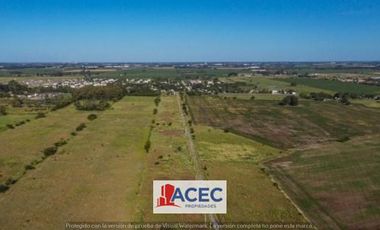Venta  - Lote Industrial - La Carolina