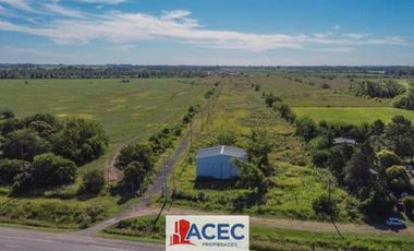 Venta  - Lote Industrial - La Carolina