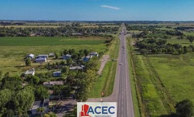 Venta  - Lote Industrial - La Carolina