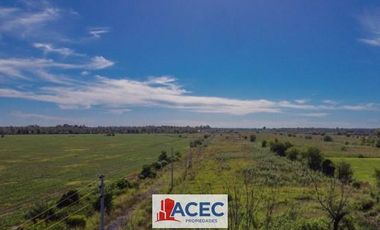Venta  - Lote Industrial - La Carolina