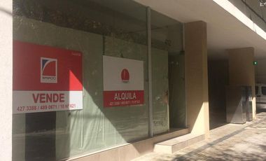 Local - La Plata