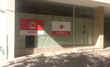 Local - La Plata