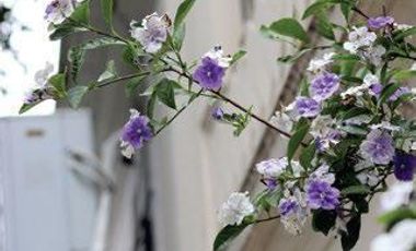 Venta monoambiente