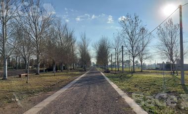 VENTA TERRENO EN PINARES DEL SUR - OPORTUNIDAD