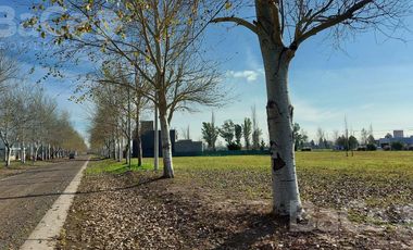 VENTA TERRENO EN PINARES DEL SUR - OPORTUNIDAD