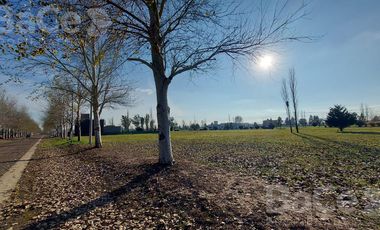 VENTA TERRENO EN PINARES DEL SUR - OPORTUNIDAD