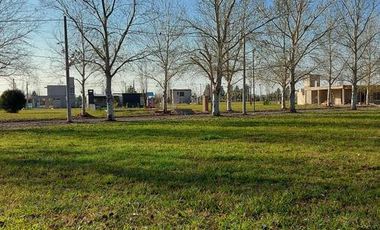 VENTA TERRENO EN PINARES DEL SUR - OPORTUNIDAD