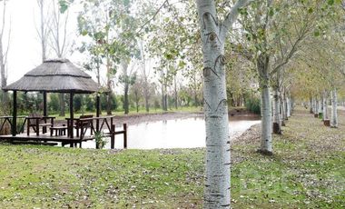 VENTA TERRENO EN PINARES DEL SUR - OPORTUNIDAD