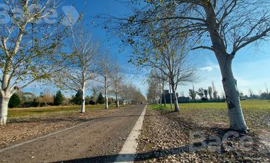 VENTA TERRENO EN PINARES DEL SUR - OPORTUNIDAD