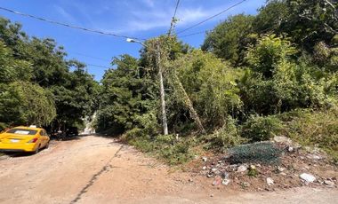 LOTE CON VISTA PANORAMICA A LA BAHIA DE SANTIAGO EN MANZANILLO