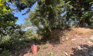 LOTE CON VISTA PANORAMICA A LA BAHIA DE SANTIAGO EN MANZANILLO