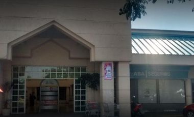 Santa Úrsula