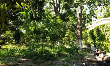 VENTA DE TERRENO EN PARRAS DE LA FUENTE COAHUILA