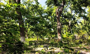 VENTA DE TERRENO EN PARRAS DE LA FUENTE COAHUILA