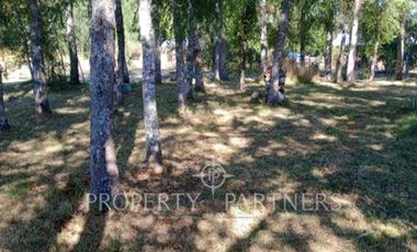 Parcela de agrado sector Catripulli.