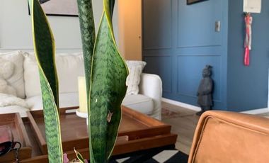 Departamento en Venta en Rotonda Quilin