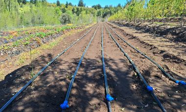 PARCELA AGRICOLA DE 2.9 HECTAREAS