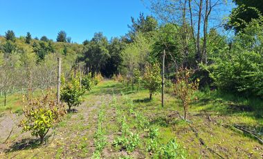 PARCELA AGRICOLA DE 2.9 HECTAREAS
