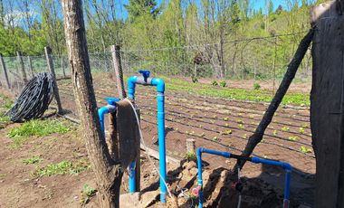 PARCELA AGRICOLA DE 2.9 HECTAREAS
