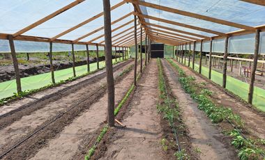 PARCELA AGRICOLA DE 2.9 HECTAREAS