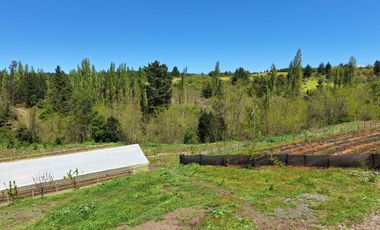 PARCELA AGRICOLA DE 2.9 HECTAREAS