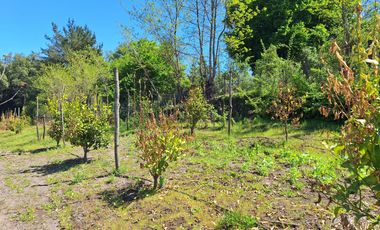 PARCELA AGRICOLA DE 2.9 HECTAREAS
