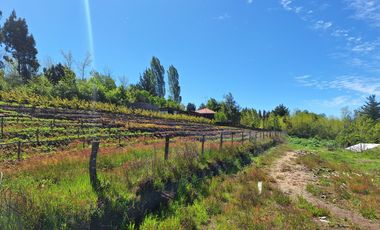 PARCELA AGRICOLA DE 2.9 HECTAREAS