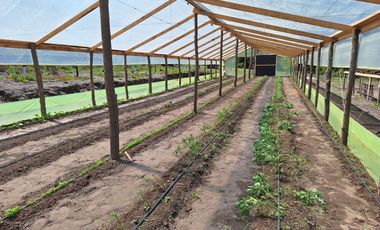 PARCELA AGRICOLA DE 2.9 HECTAREAS