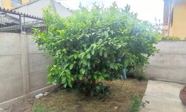 CASA EN CONDOMINIO 3D Y 1B