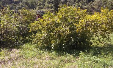 Lote / Terreno en Venta en San Jerónimo Antioquia, Colombia.