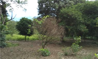 Lote / Terreno en Venta en San Jerónimo Antioquia, Colombia.