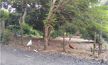 Lote / Terreno en Venta en San Jerónimo Antioquia, Colombia.