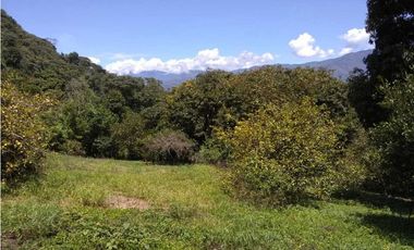 Lote / Terreno en Venta en San Jerónimo Antioquia, Colombia.