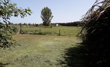 FRACCION 1,5 HAS EN VENTA, ZONA MESTIZA, LOS CARDALES