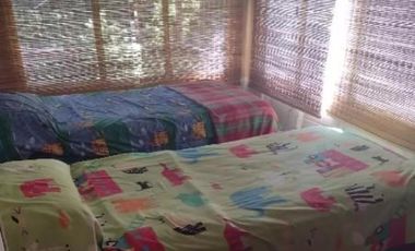 Casas en venta - 4 Dormitorios 3 Baños - 12.124Mts2 - Tigre