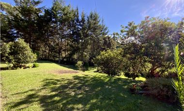 Finca Independiente Via San Antonio (Rionegro)