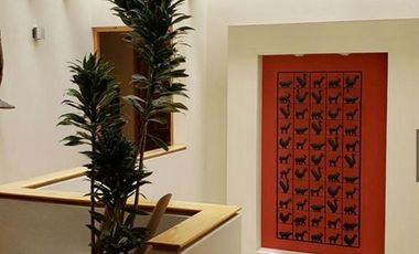 Casa en Venta en San Nicolás Totolapan