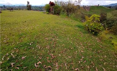 Venta de Finca Independiente en El Santuario