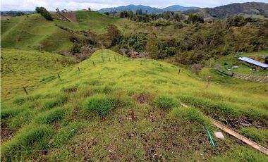 Venta de Finca Independiente en El Santuario