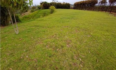 Venta de Finca Independiente en El Santuario